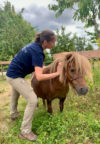 Le shiatsu équin